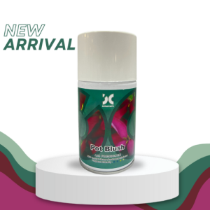 Air Freshener Pot Blush Spray 270ml